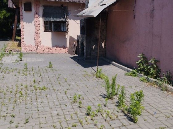 Сдается бар-кафе на Болгарская 1. Одеса