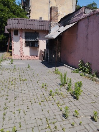 Сдается бар-кафе на Болгарская 1. - фото 1