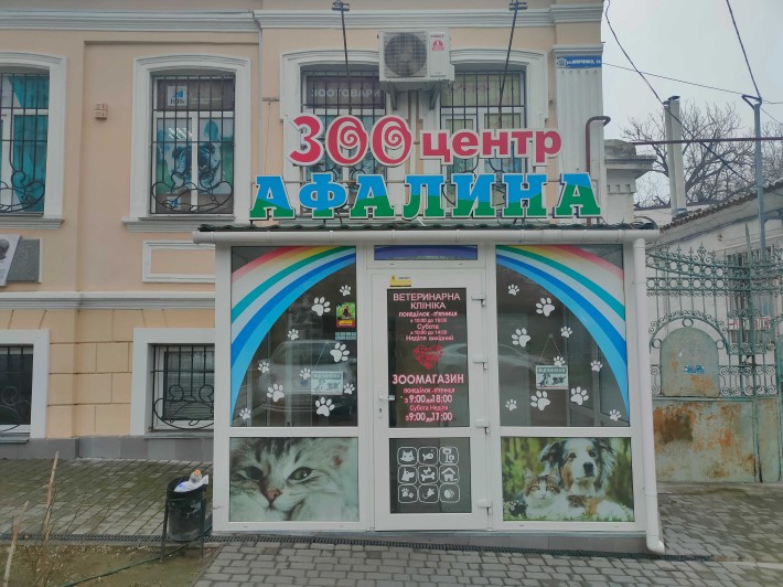 Здам приміщення під Вет.Клініку в Центрі - фото 1