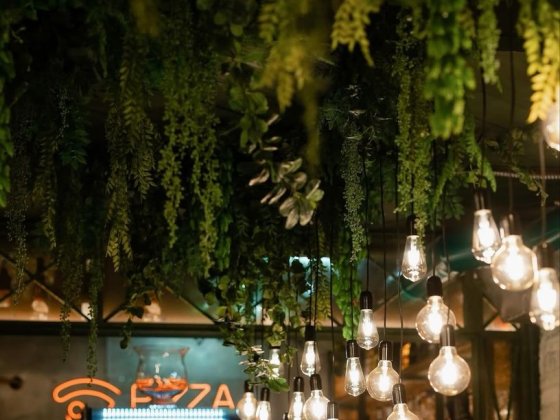 Сдается в аренду готовый бизнес – общепит под ключ Одеса