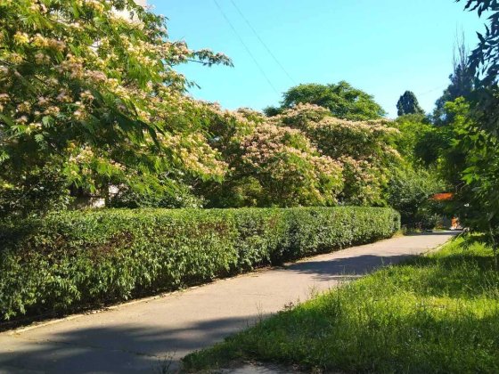 Долгосрочная аренда помещения на Армейской Одесса