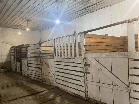 Аренда конюшни, гостиницы для лошадей, других помещений от 10 кв м Харьков