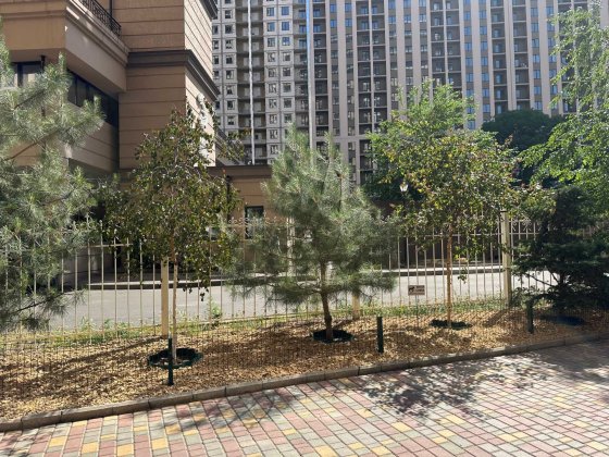 Аренда помещения с ремонтом и отдельным входом в Аркадии, 103 м² Одесса