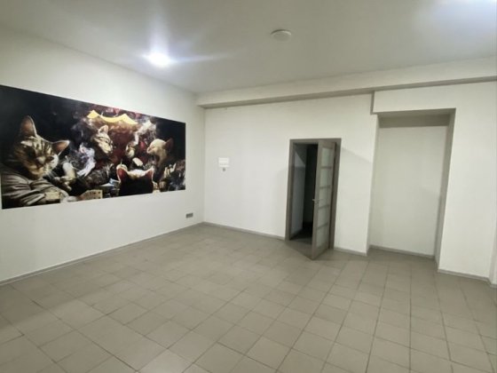 Фасадное помещение центр города Одесса