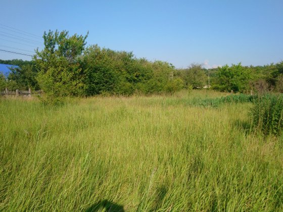Продаж земельної ділянки СТ Фіаніт, село Фурси. Белая Церковь