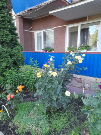 Однокімнатна квартира із затишним двором, все поруч: школа, станція - фото 1