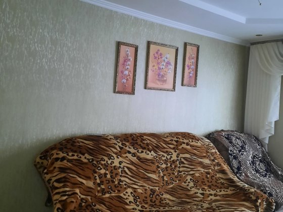 Продам квартиру в Вольнянске Вільнянськ