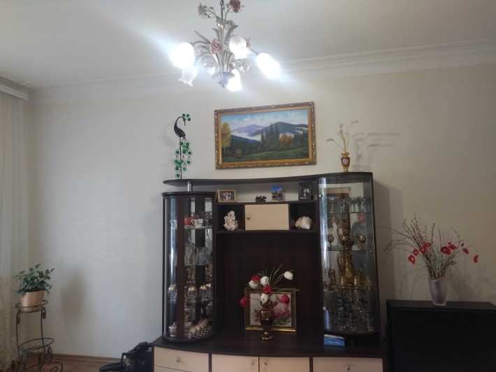 Продам 1 кв-ру з меблями та технікою  по пр. Свободи - фото 1