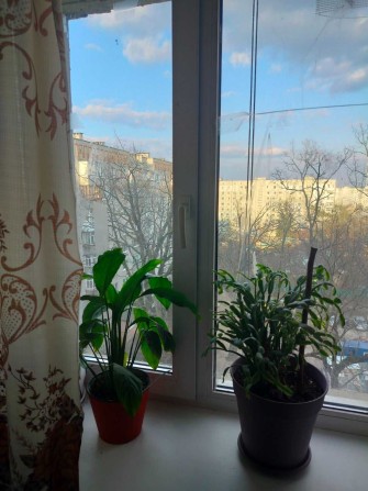 БЕЗ КОМІСІЇ Трикімнатна квартира з ремонтом. Парк НЕЗНАЙКА - фото 1