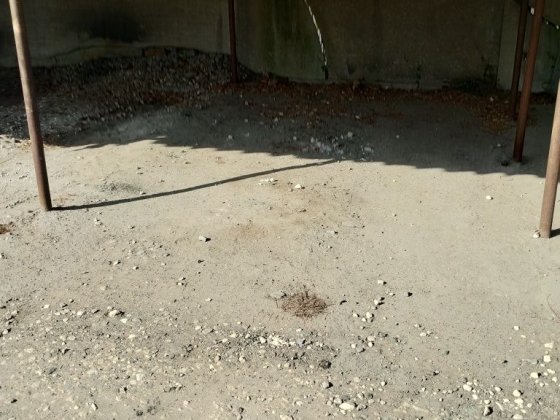 Здам місце на автомобільній стоянці Киев