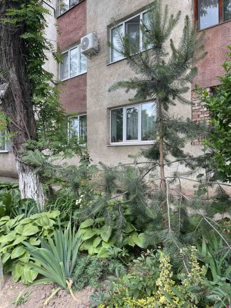 Продаж однокімнатної квартири - фото 1
