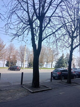 Продам Центр 2к кв - фото 1