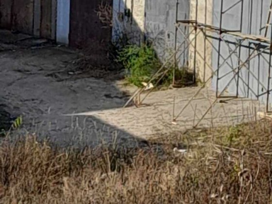 Вишгород, кооп. Лісний, гараж  3х рівневий 220 кв.м( ЖК Ярославичі) Вишгород