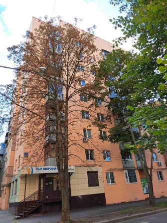 Продам 1 квартиру в центре - фото 1