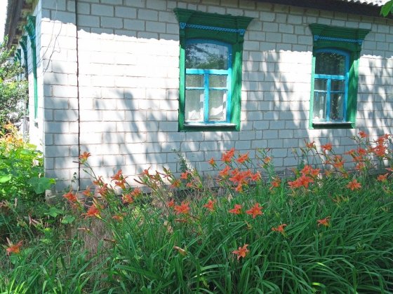 Продам дом на Власавке по Шевченко 62 Власовка