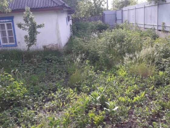 Земельна ділянка/будинок з надвірними спорудами Городище