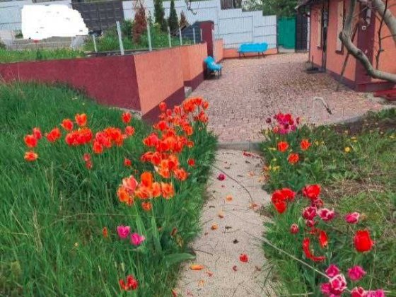 Продам капітальний цегляний будинок в Дергачах Дергачі