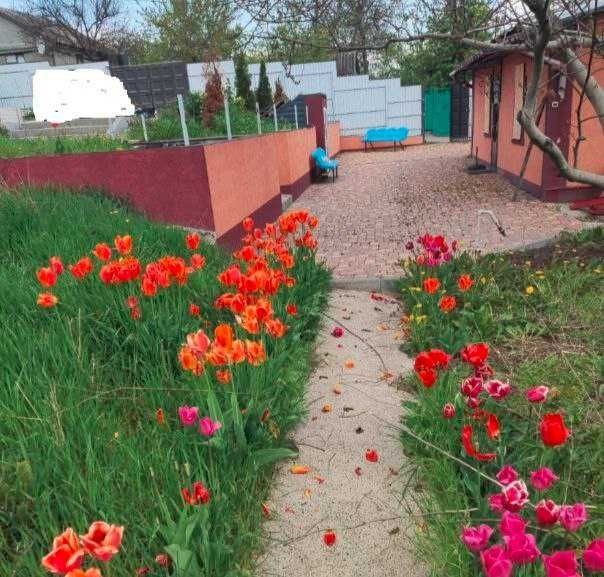 Продам капітальний цегляний будинок в Дергачах - фото 1