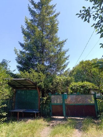 Продається хата в с Вірівка - фото 1
