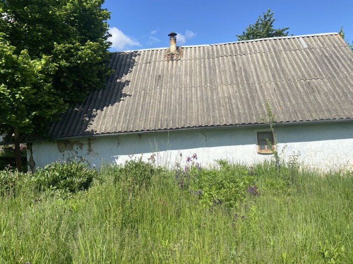 Земельна ділянка для будівництва чи Дача Ходоровці - фото 1