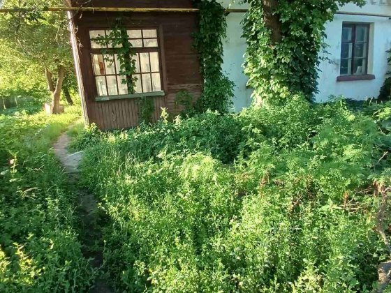 Будинок вул. Успенсько-Троїцької Конотоп