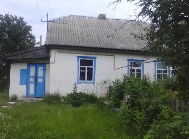 Продається будинок з великою ділянкою землі - фото 1