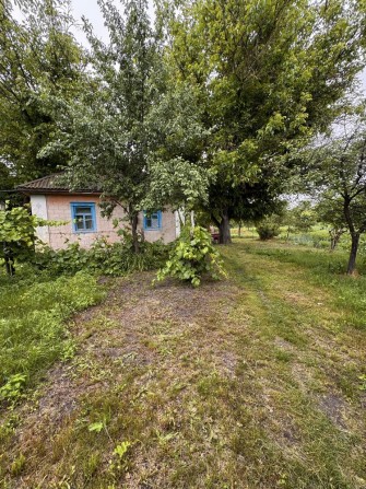 Продам будинок. с.Тишки 16км. від м. Лубни - фото 1
