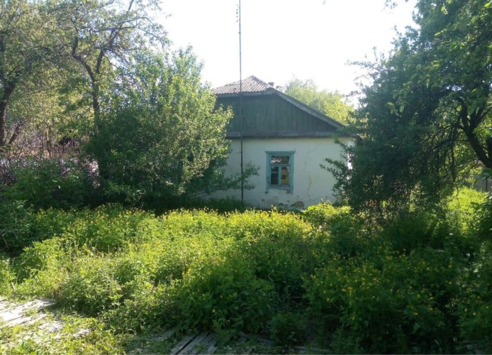 Продається старий будинок та земельна ділянка ( м.Малин) - фото 1