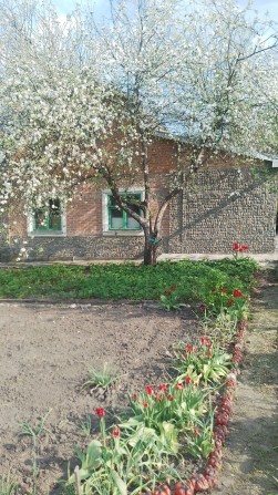 Будинок 2 поверховий у Миргороді - фото 1