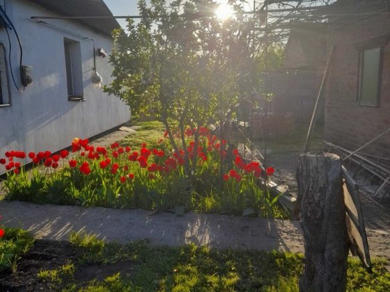 Продам будинок у місті Миргород Миргород