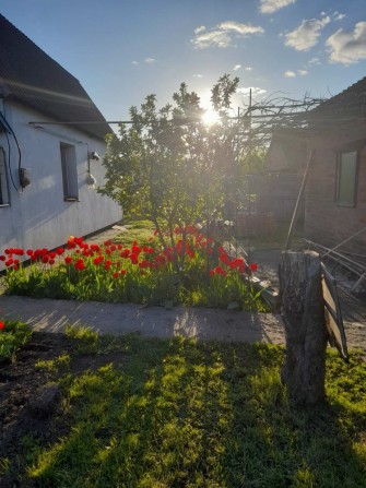 Продам будинок у місті Миргород - фото 1