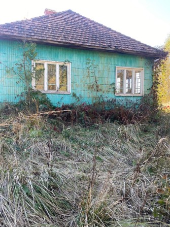 Продається будинок в горах та дві суміжні земельні ділянки - фото 1