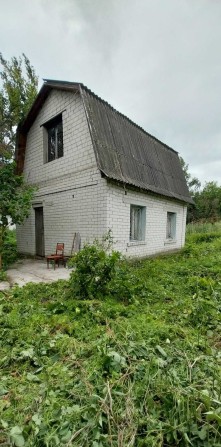 Продам дачу в Ніжині р-н Фрунзівка - фото 1
