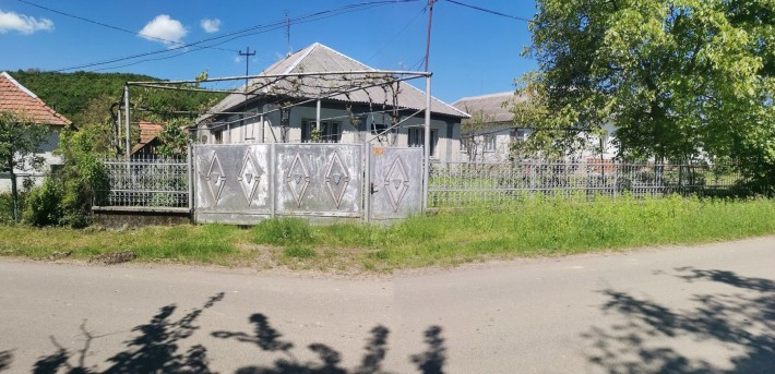Будинок в селі Обава (9км до Мукачева) - фото 1