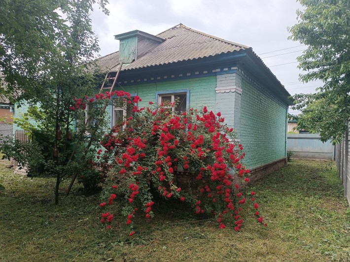 Продам будинок м.Прилуки - фото 1