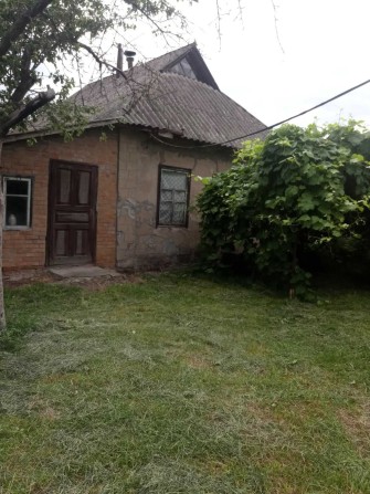 Продається садиба в центрі села Житнє - фото 1