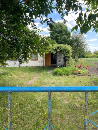Дача з будиночком та фруктовим садом, масив Радуга, Дубове 
ID: 39512 - фото 1