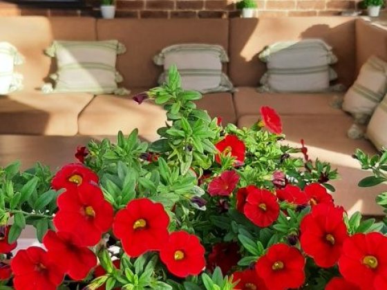 Продається затишний будинок Нікополь