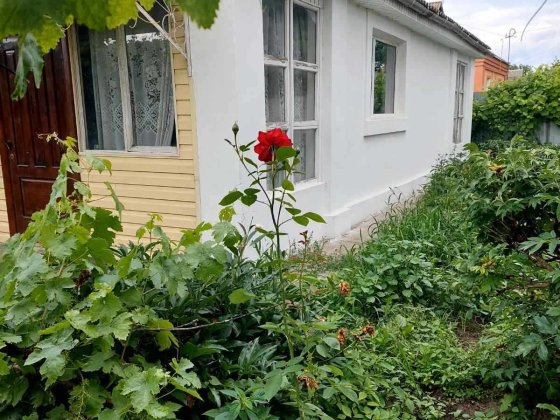 Продаж будинку в Переяславі на 2 входи Переяслав-Хмельницький