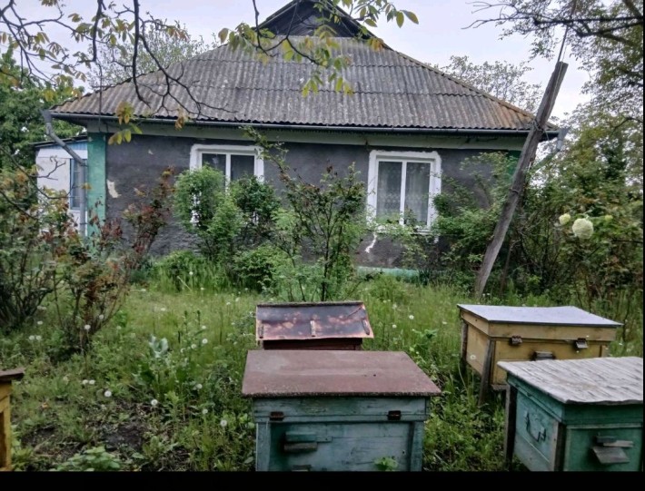 Продається будинок - фото 1
