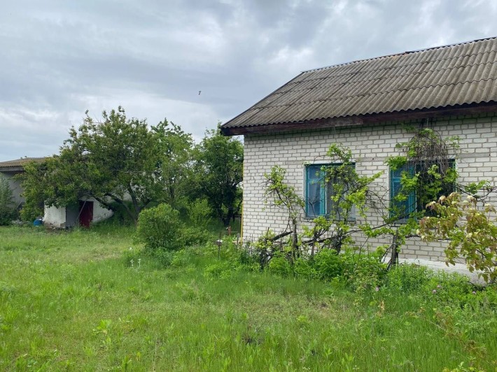 Продаж будинку в Брусилові (Покришів) - фото 1