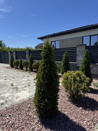 Продаж американки в Минаі - фото 1