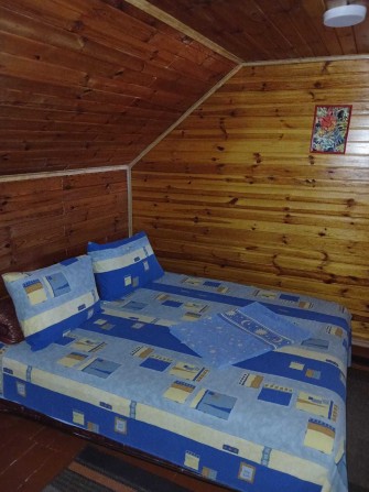 Будинок-дача на березі озера в с.Дийда Берегівського району під бізнес - фото 1