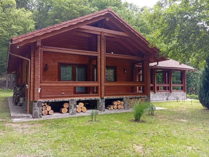 Продаж будинокS-110 м.кв.с.Чинадійово Закарпатська обл.діл0.43га без% - фото 1