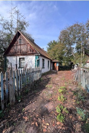 продаж будинку с.Опіївка - фото 1