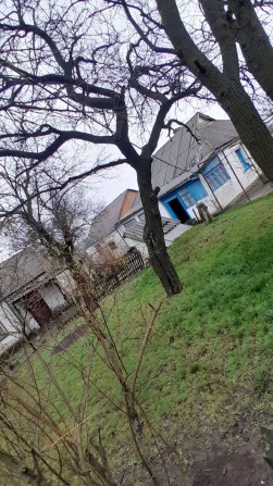 Будинок,смт.Новгородка(Кам'янець) - фото 1