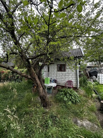 Продаж Дачі , 3,6 сот та невеличкий будинок (Бартатів) - фото 1