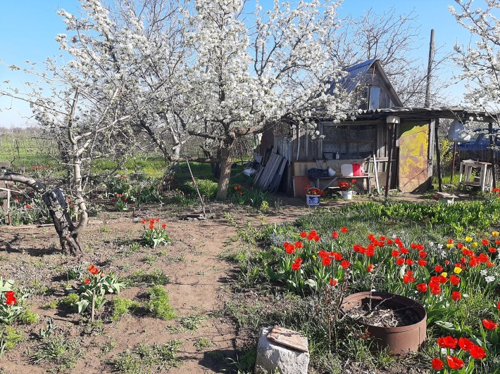 Продам дачу [дачу) - фото 1
