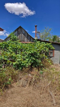 Продам дом дачу в Светлом. - фото 1