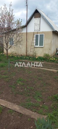 Дом в Светлом. Центральная улица. Документы дом- земля - фото 1